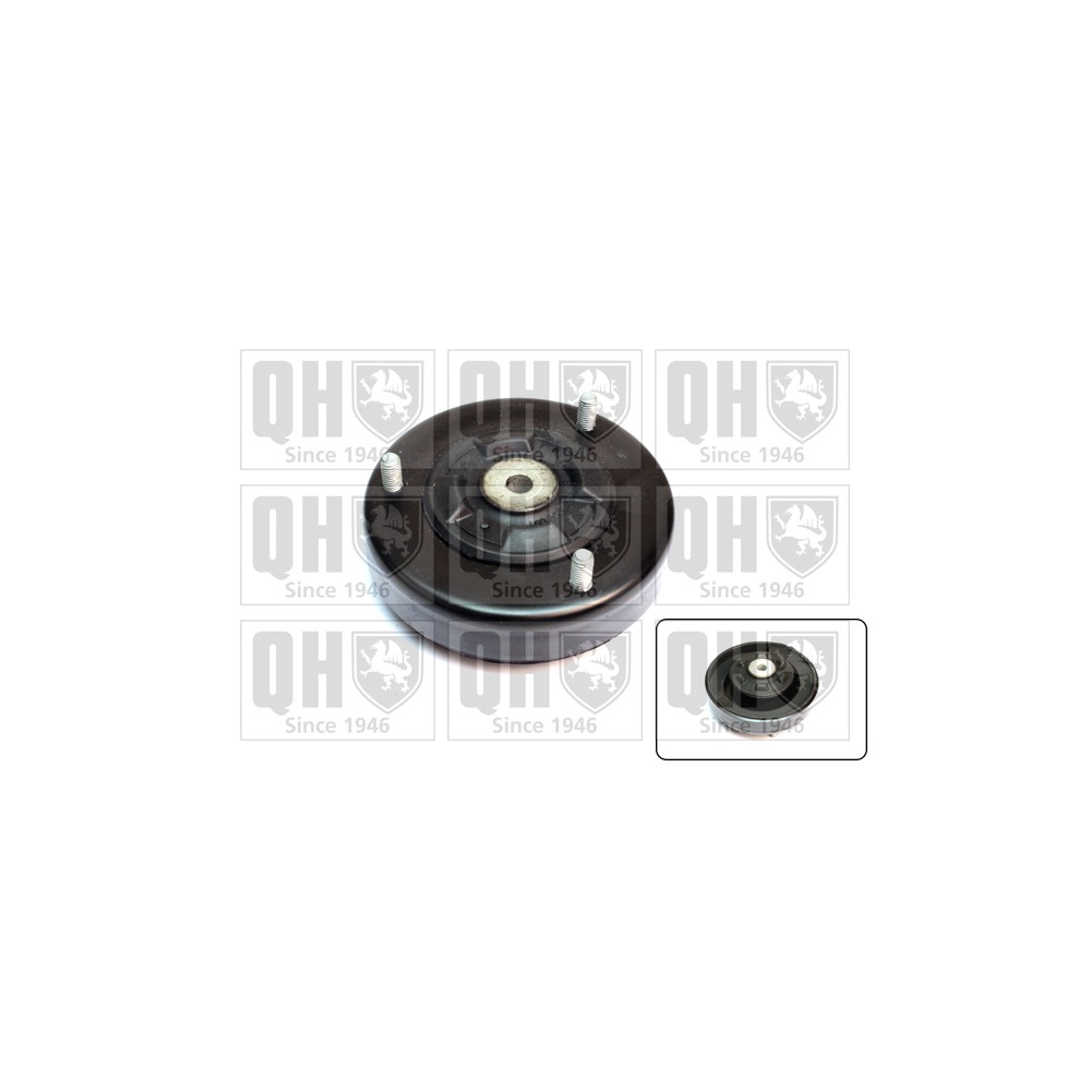 Image for QH EMR6029 Top Strut Mounting - Rear exc.Bearing LH & RH