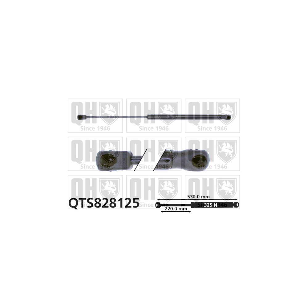 Image for QH QTS828125 Gas Spring