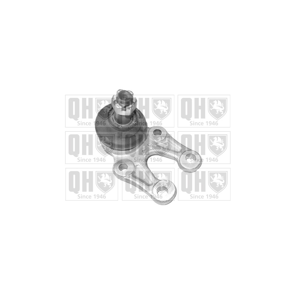 Image for QH QSJ1243S Ball Joint - Front Lower LH & RH