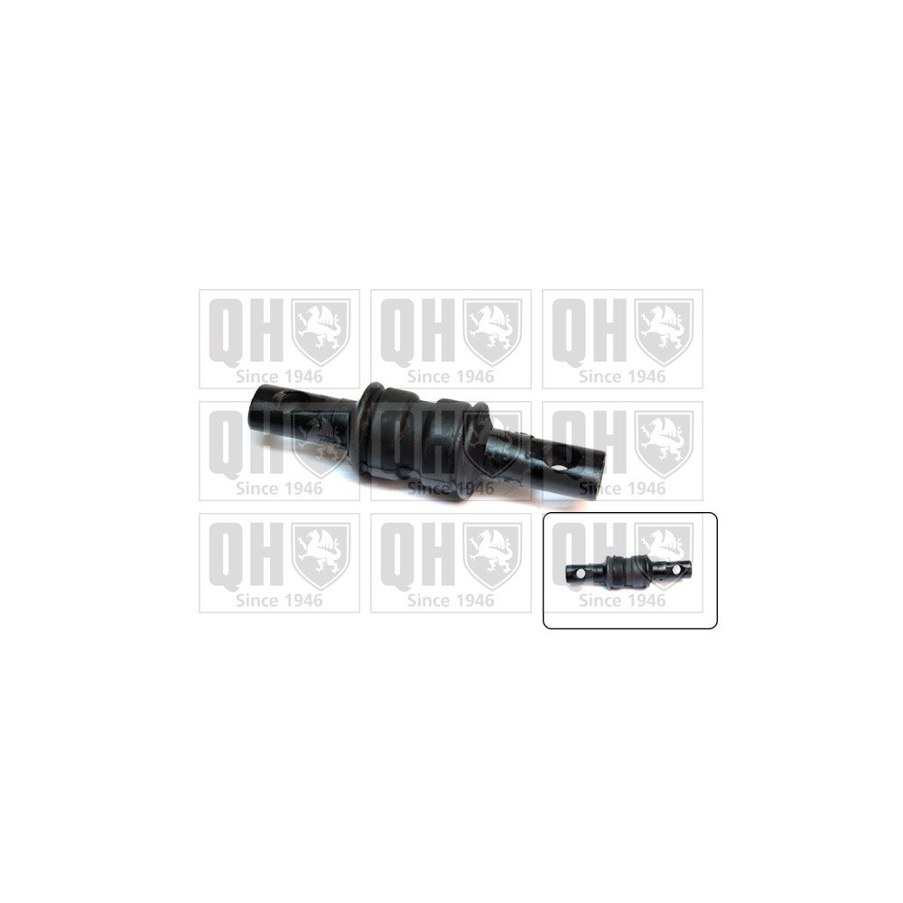 Image for QH EMS8366 Suspension Arm Bush - Front Lower LH & RH (Front)