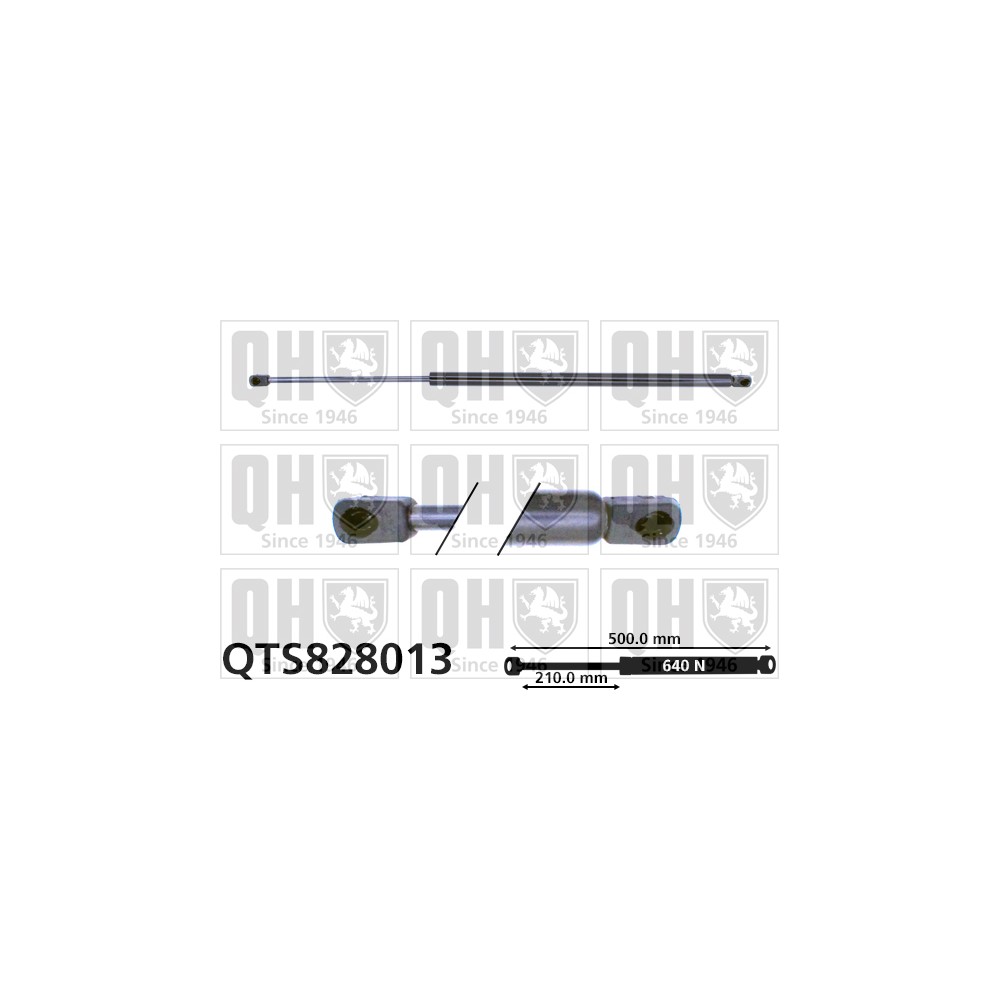 Image for QH QTS828013 Gas Spring