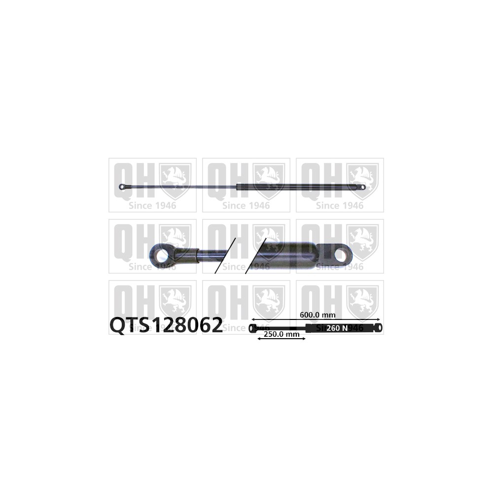 Image for QH QTS128062 Gas Spring