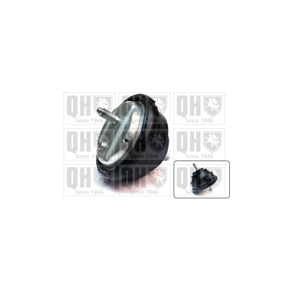 Image for QH EM4341 ENGINE MOUNTING