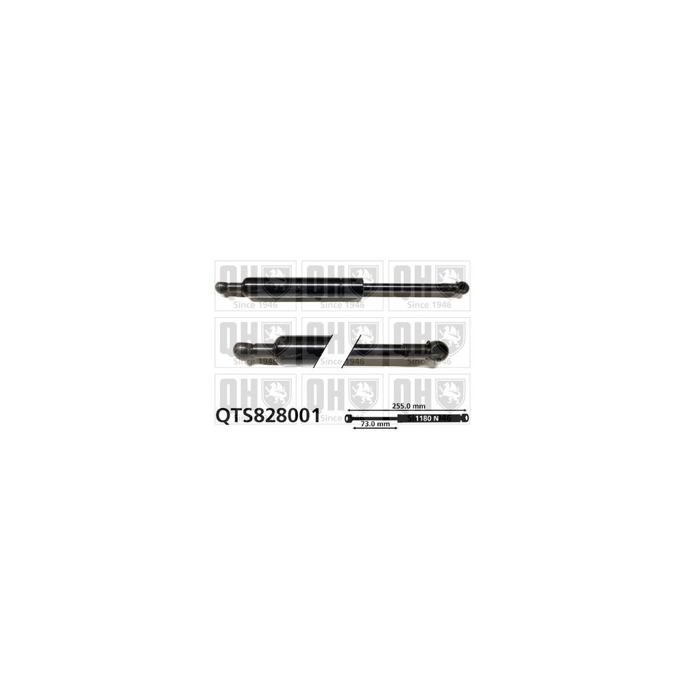 Image for QH QTS828001 Gas Spring