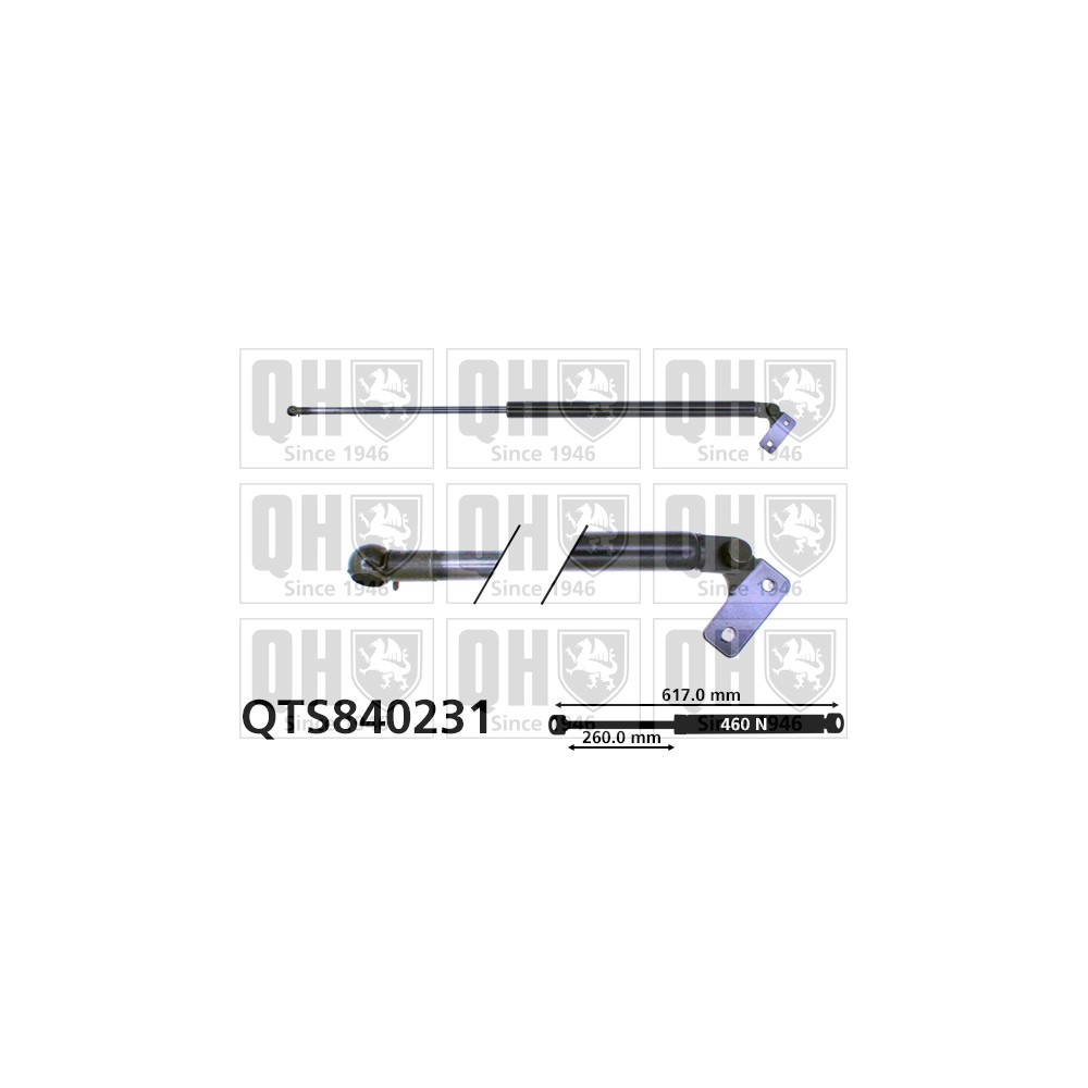 Image for QH QTS840231 Gas Spring