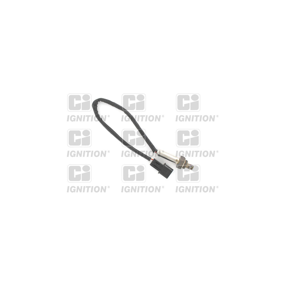 Image for Oxygen Sensor