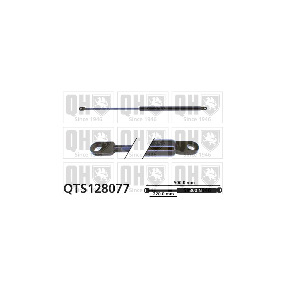 Image for QH QTS128077 Gas Spring