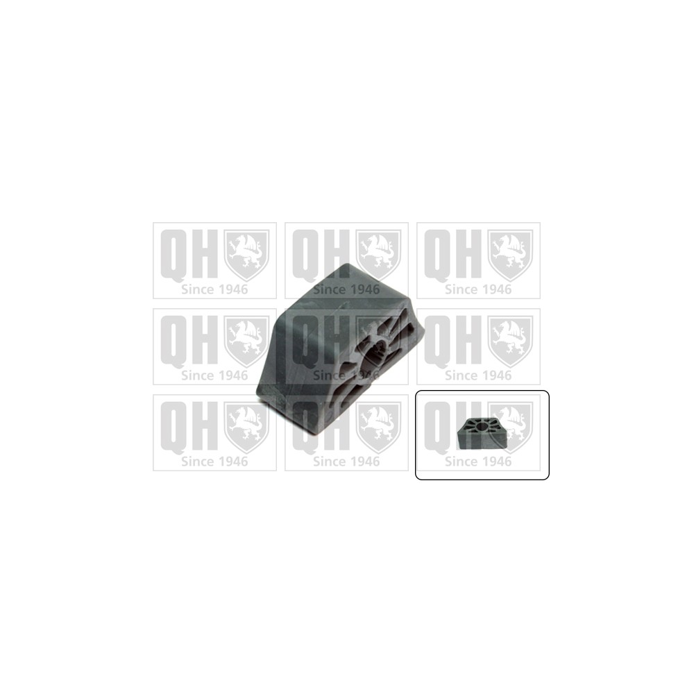 Image for QH EMB7131 Stabiliser Bar Bush - Rear LH & RH (Outer)