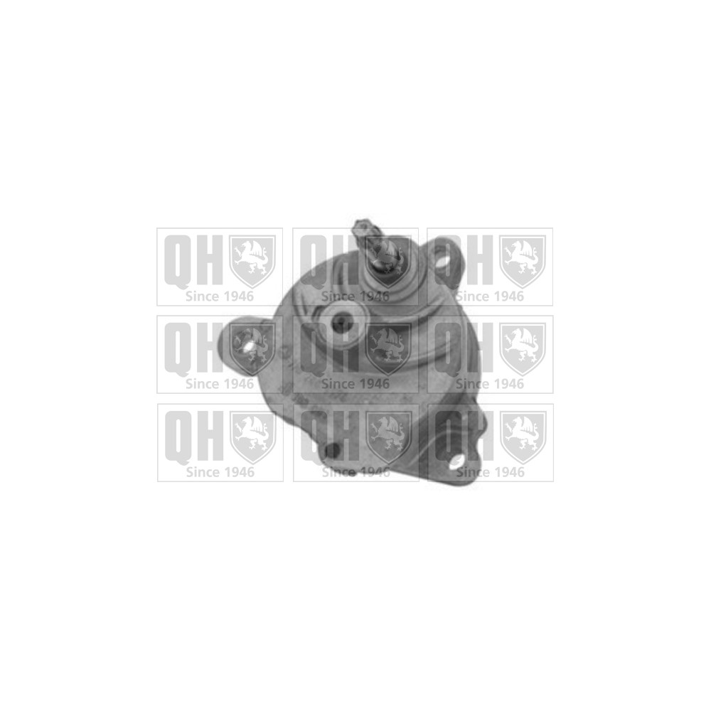 Image for QH QTA1232 DRIVE BELT TENSIONER