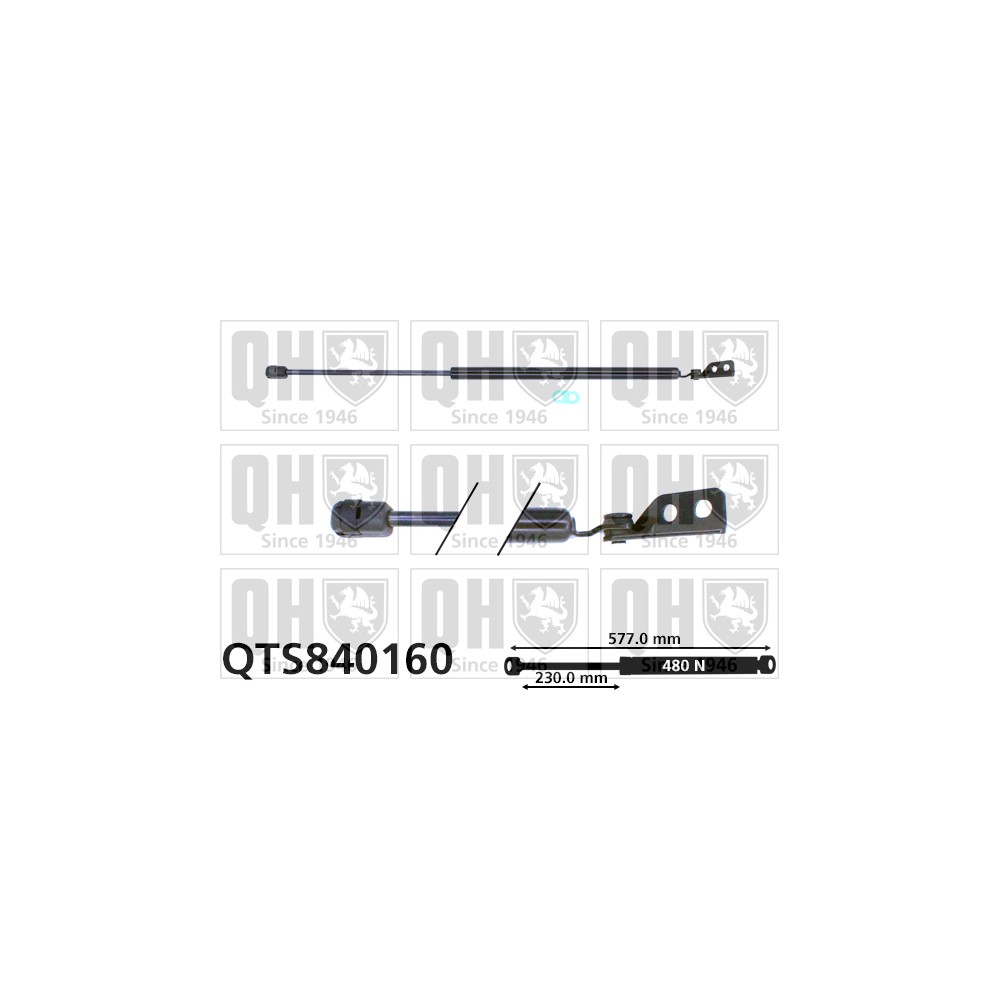 Image for QH QTS840160 Gas Spring