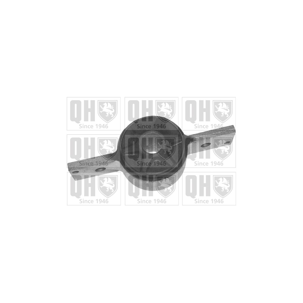 Image for QH EMS2666 Suspension Arm Bush - Front Lower LH & RH (Rear)