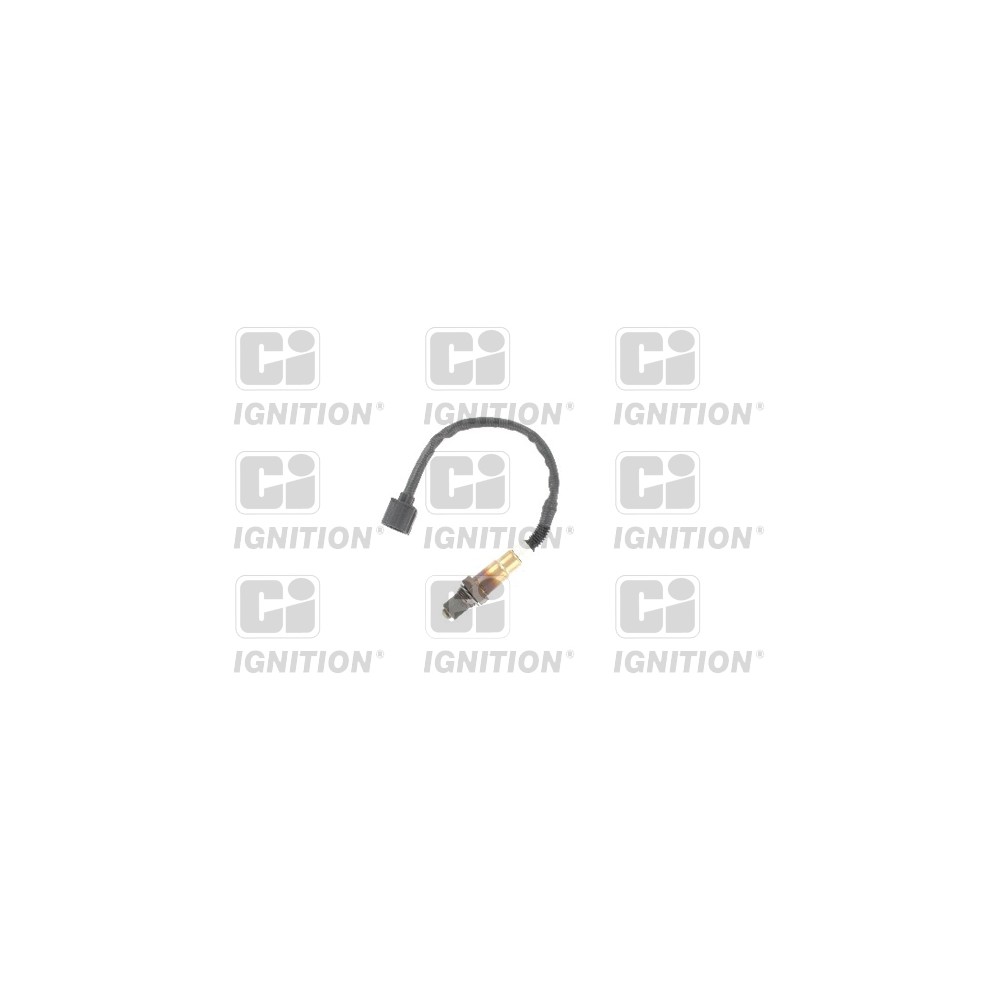 Image for Oxygen Sensor