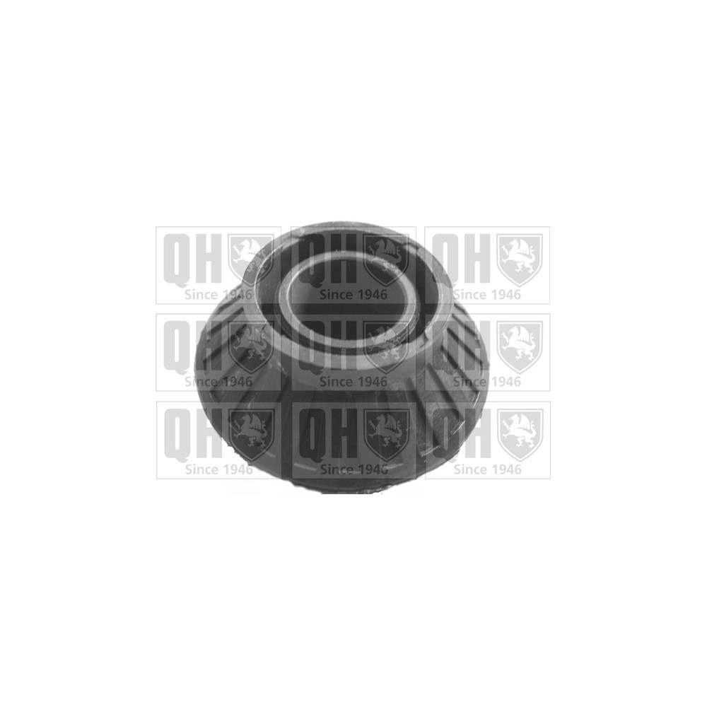 Image for QH EMS8088 Suspension Arm Bush - Front Lower LH & RH (Outer)