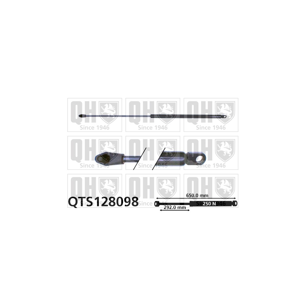 Image for QH QTS128098 Gas Spring