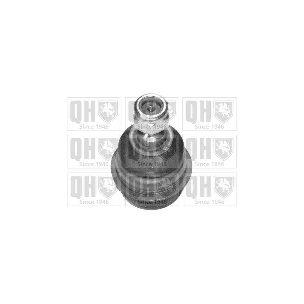 Image for QH QSJ2013S Ball Joint - Front Lower LH & RH