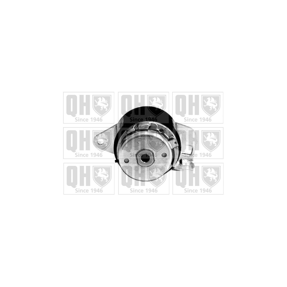 Image for QH QTT890 Timing Belt Tensioner