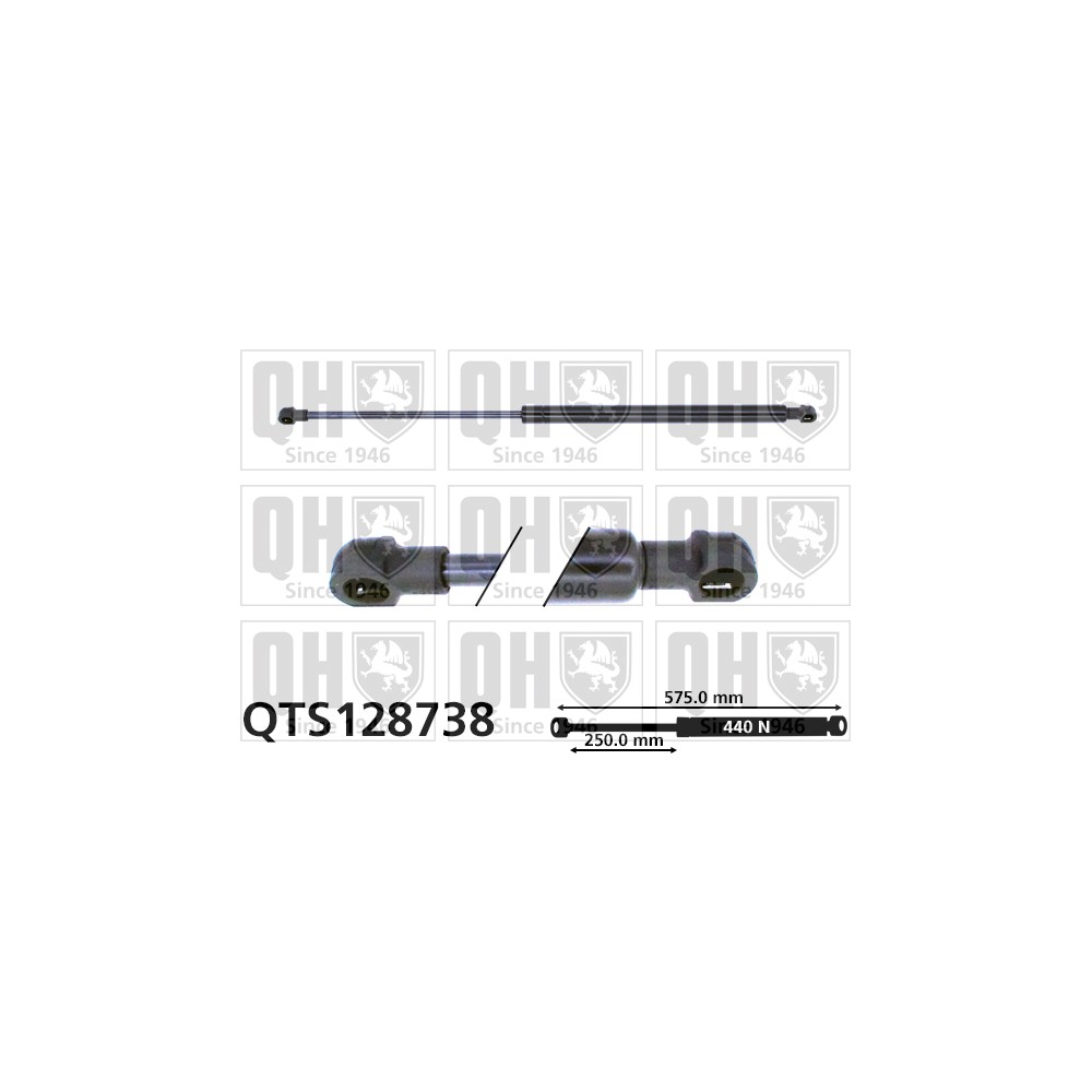 Image for QH QTS128738 Gas Spring