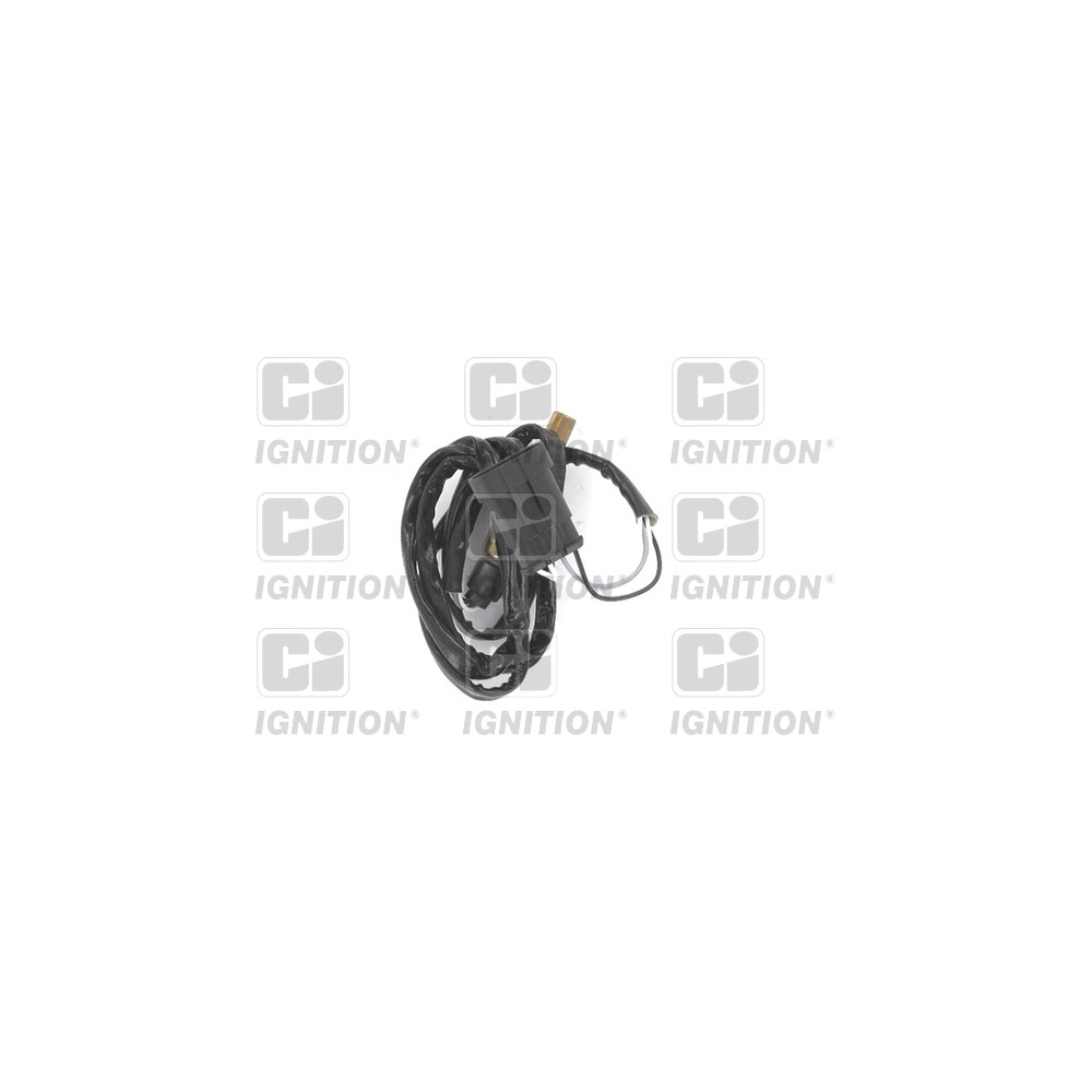 Image for Oxygen Sensor