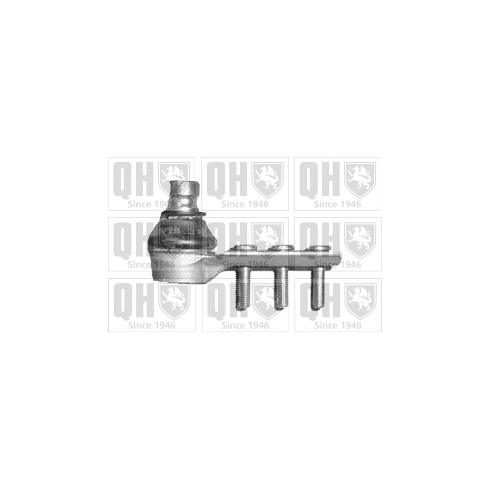 Image for QH QSJ1353S Ball Joint - Front Lower LH & RH