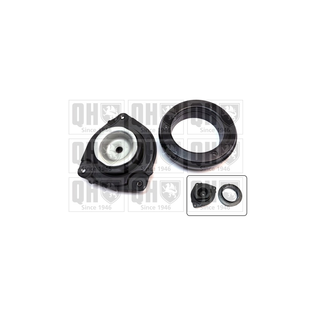 Image for QH EMA4919 Top Strut Mounting- inc Bearing