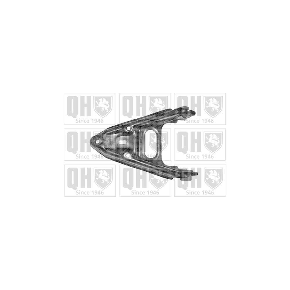 Image for QH QSA2074S Suspension Arm - Front Lower LH & RH