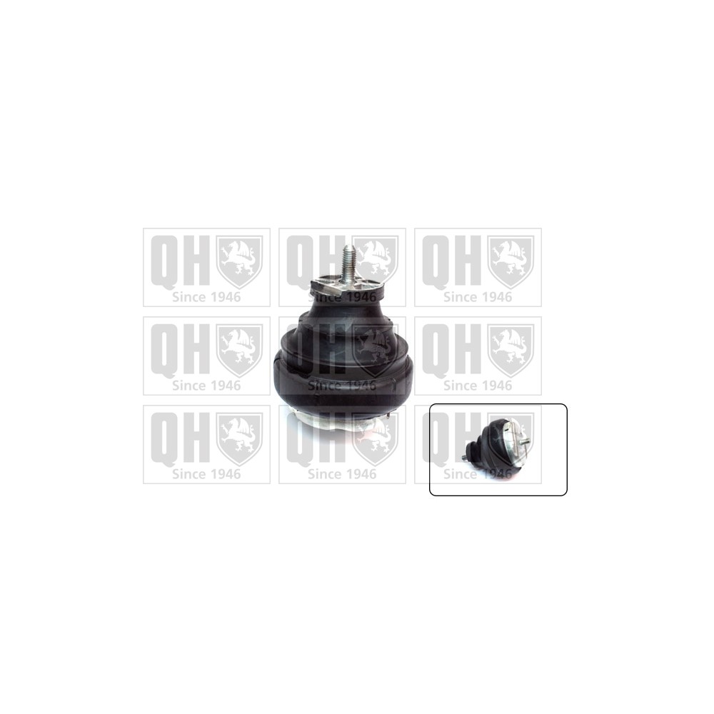 Image for QH EM4531 Engine Mounting