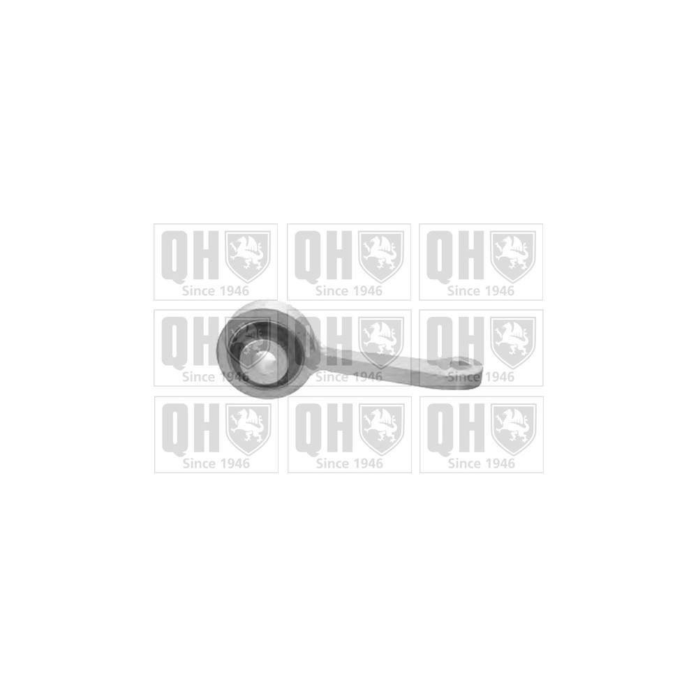 Image for QH QLS3342S Stabiliser Link - Front RH