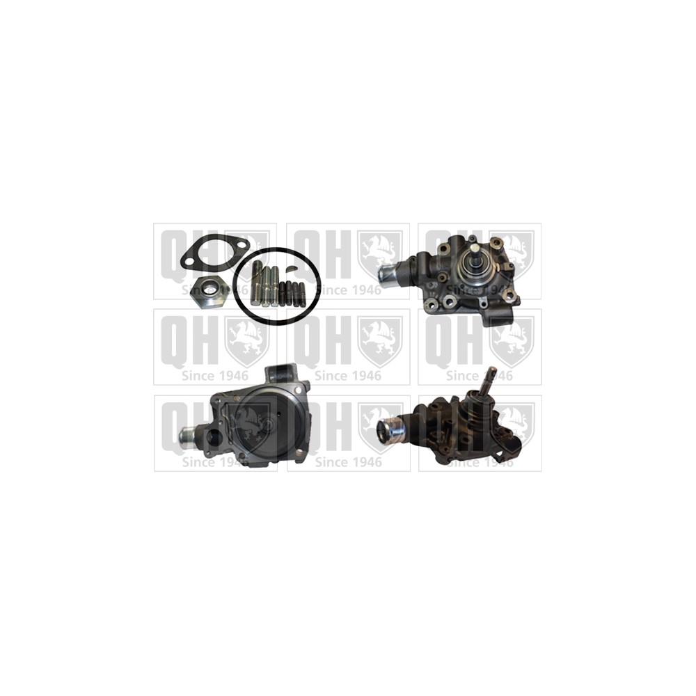 Image for QH QCP3809 Water Pump