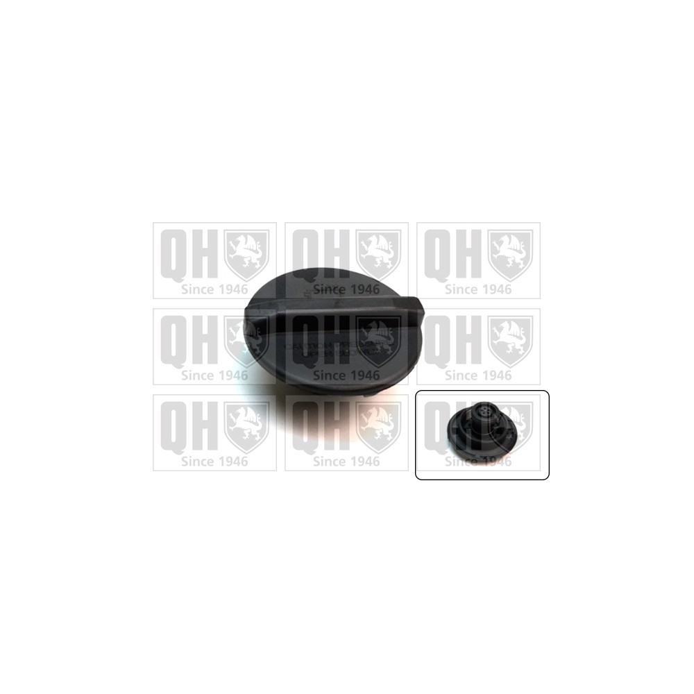 Image for QH FC544 Expansion Tank Cap