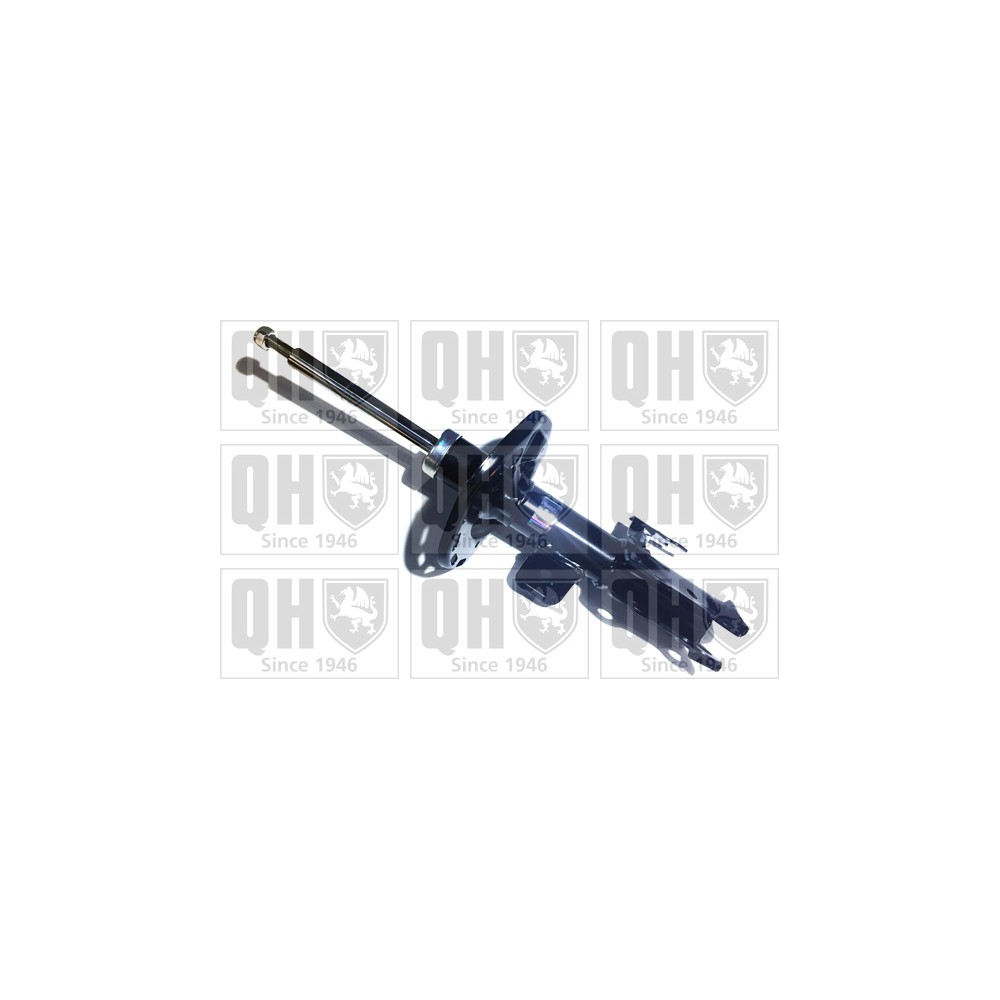 Image for QH QAG181062 Shock Absorber