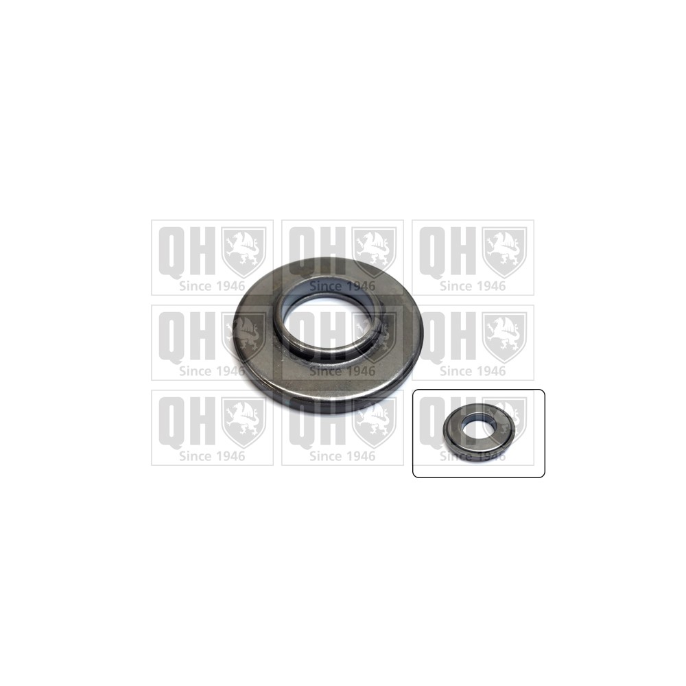 Image for QH QAM189 Top Strut Bearing