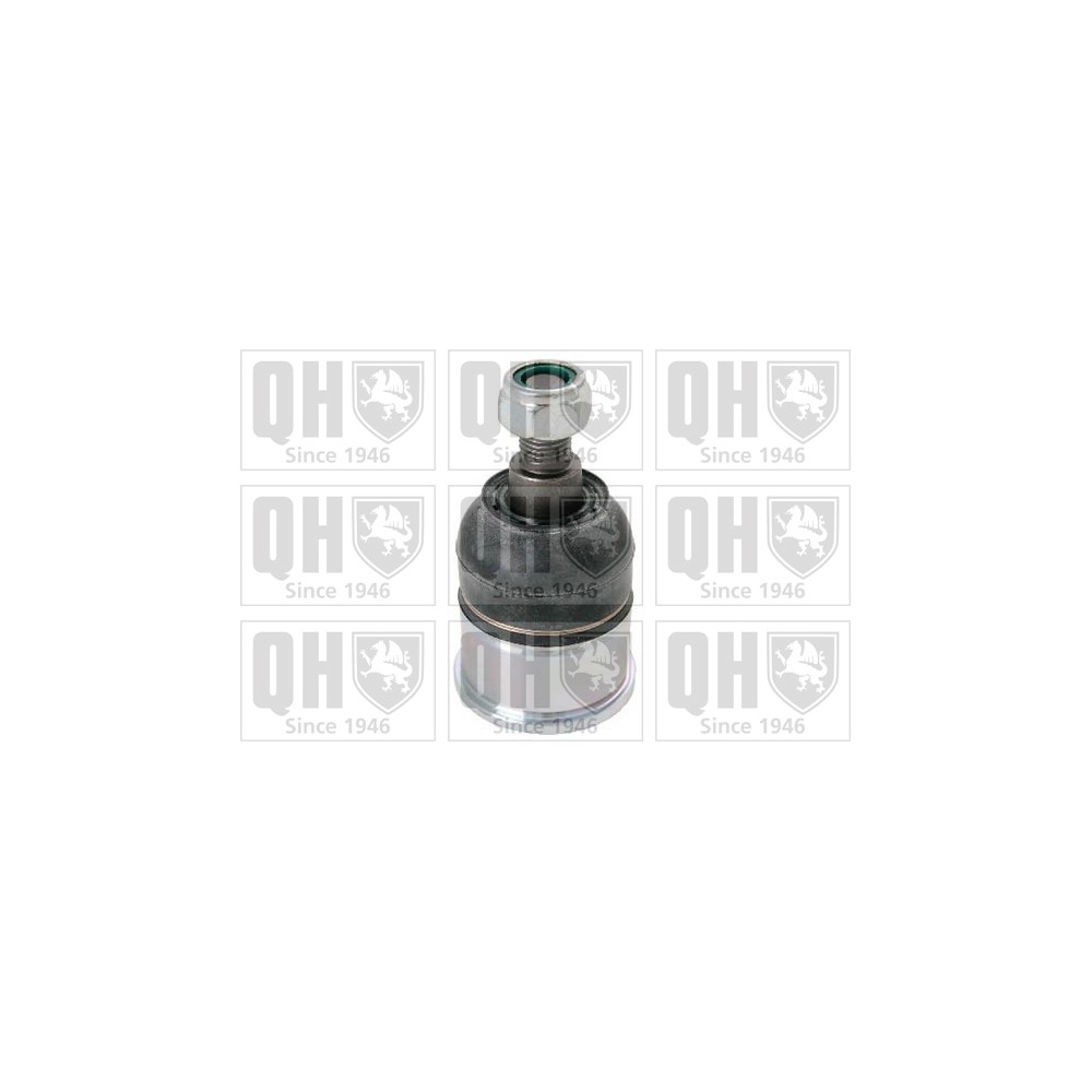 Image for QH QSJ3655S Ball Joint - Front Lower LH & RH