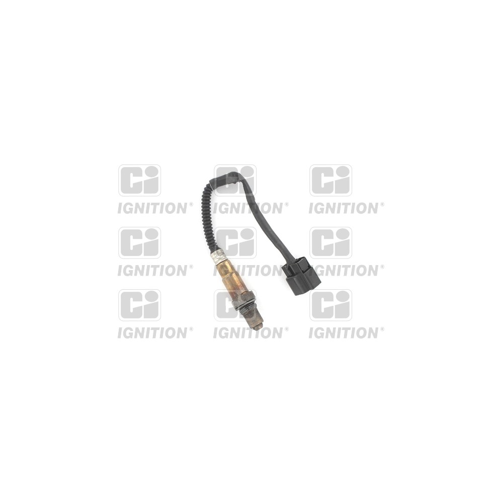 Image for Oxygen Sensor