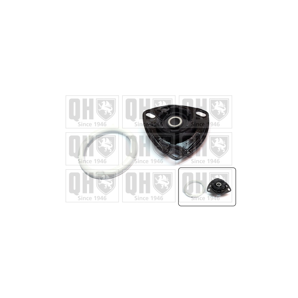 Image for QH EMA1924 Top Strut Mounting - Front inc.Bearing LH & RH