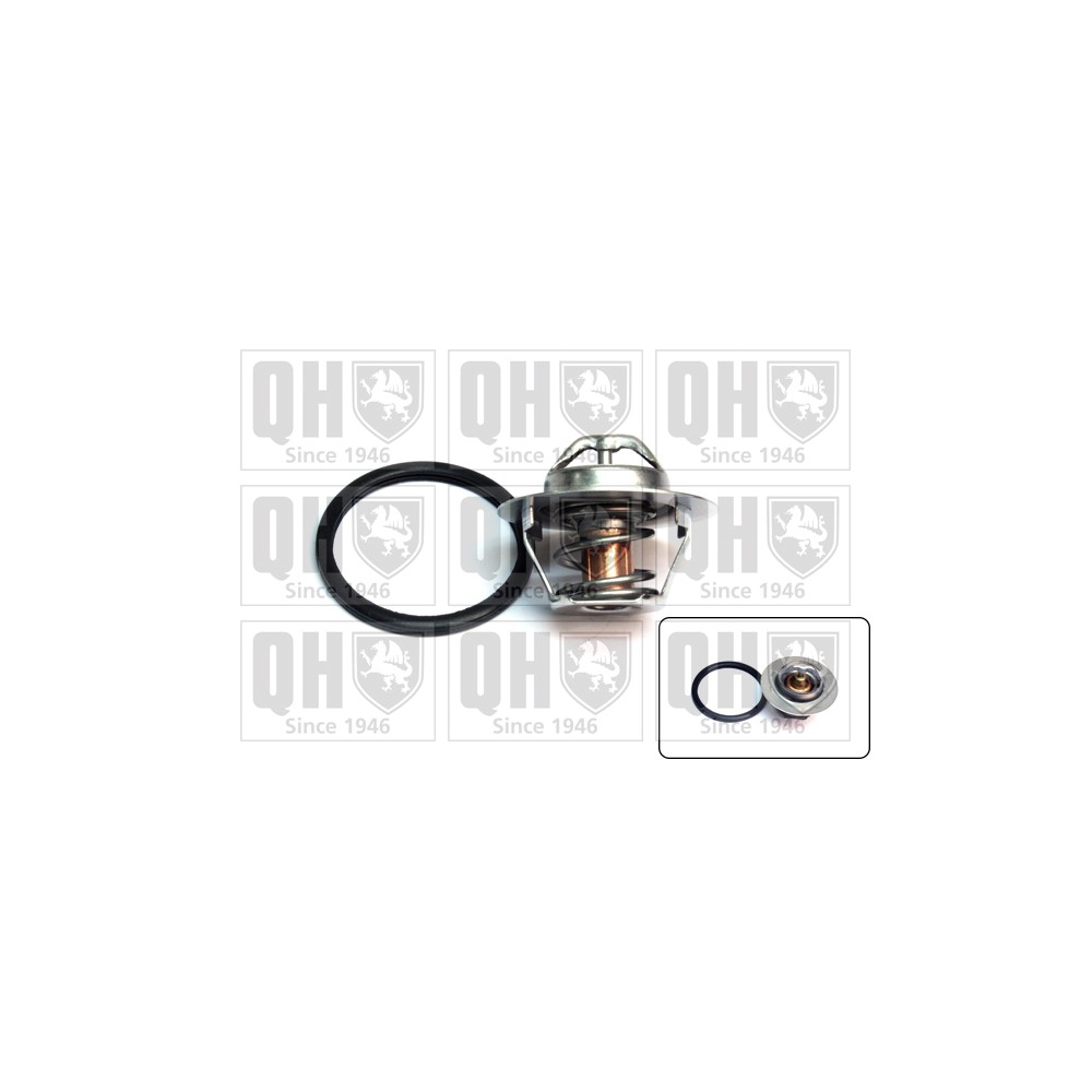 Image for QH QTH697K Thermostat Kit