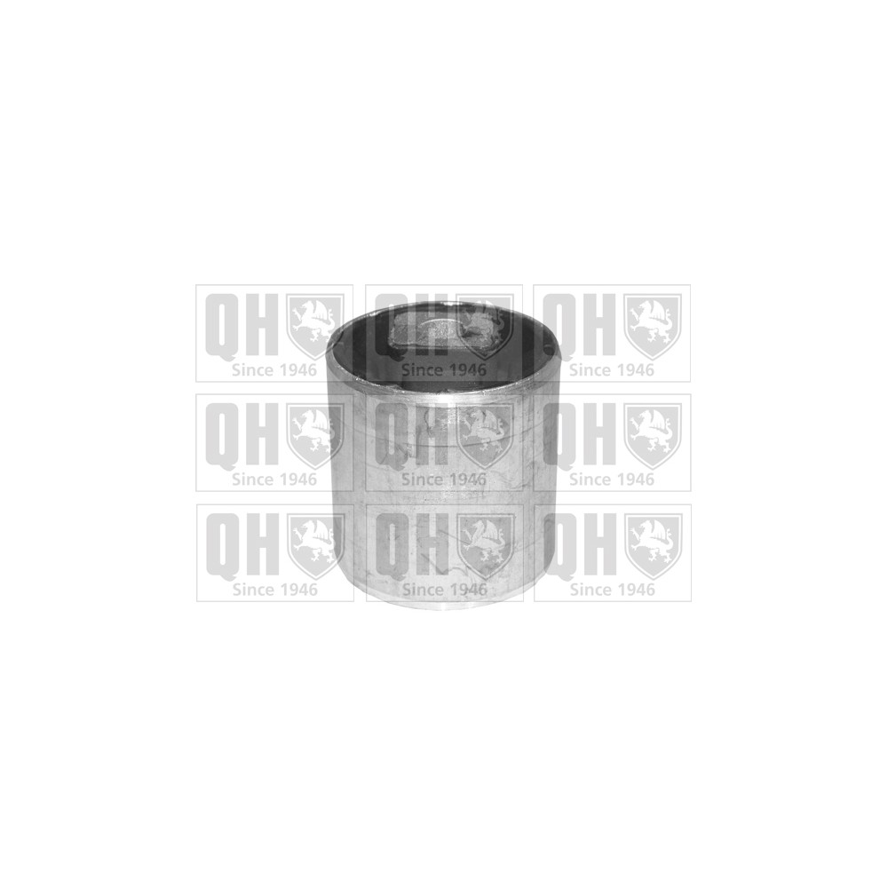 Image for QH EMS8150 Suspension Arm Bush - Front Lower LH & RH (Front)