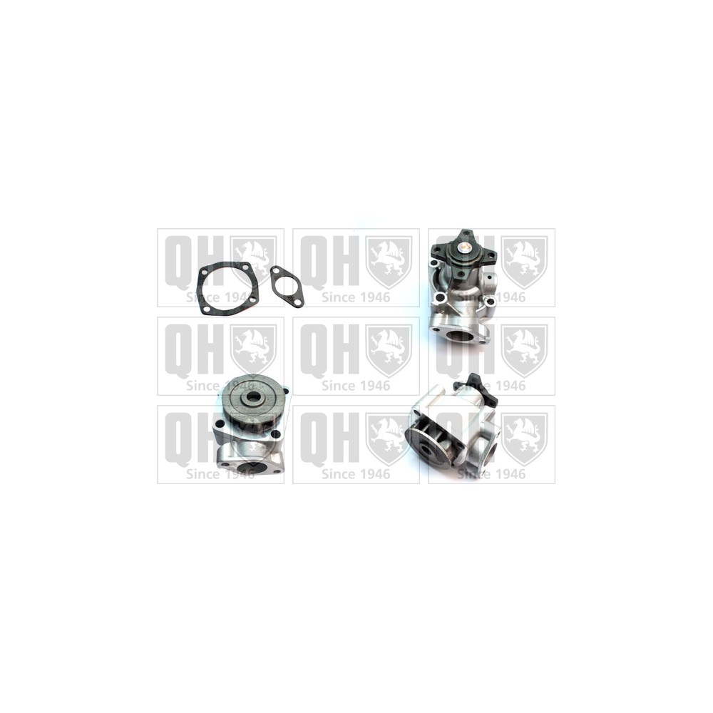 Image for QH QCP3117 Water Pump