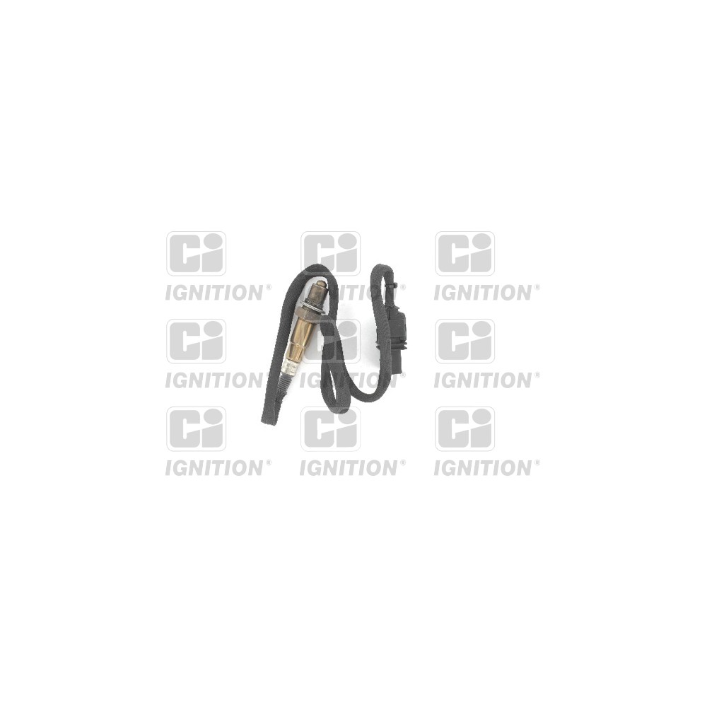 Image for Oxygen Sensor