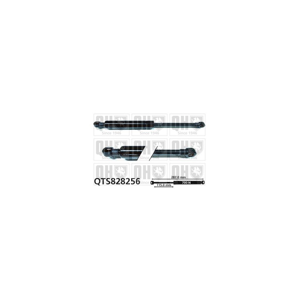 Image for QH QTS828256 Gas Spring