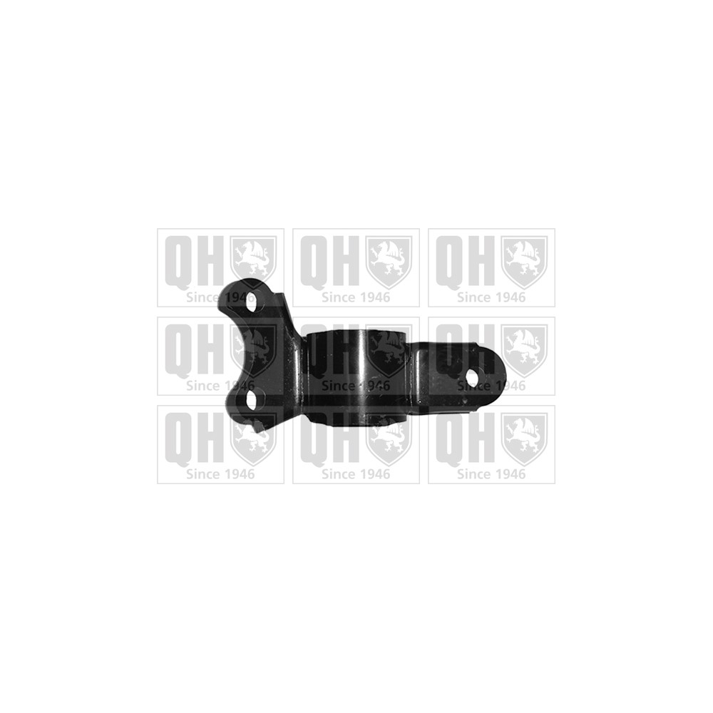 Image for QH EMS8435 Suspension Arm Bush - Front Lower LH & RH (Front)