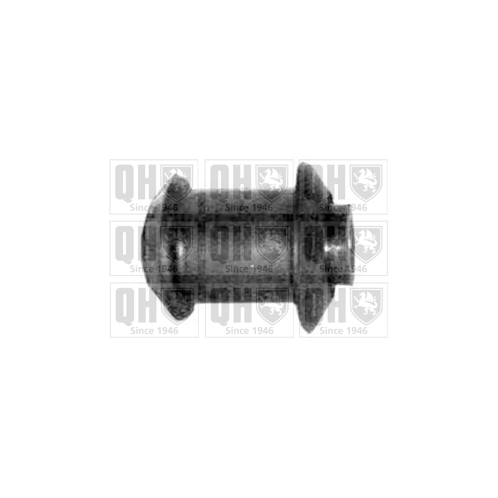 Image for QH EMS1854 Suspension Arm Bush - Front Lower LH & RH (Front)