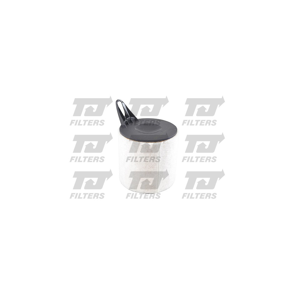 Image for TJ QFA0710 Air Filter