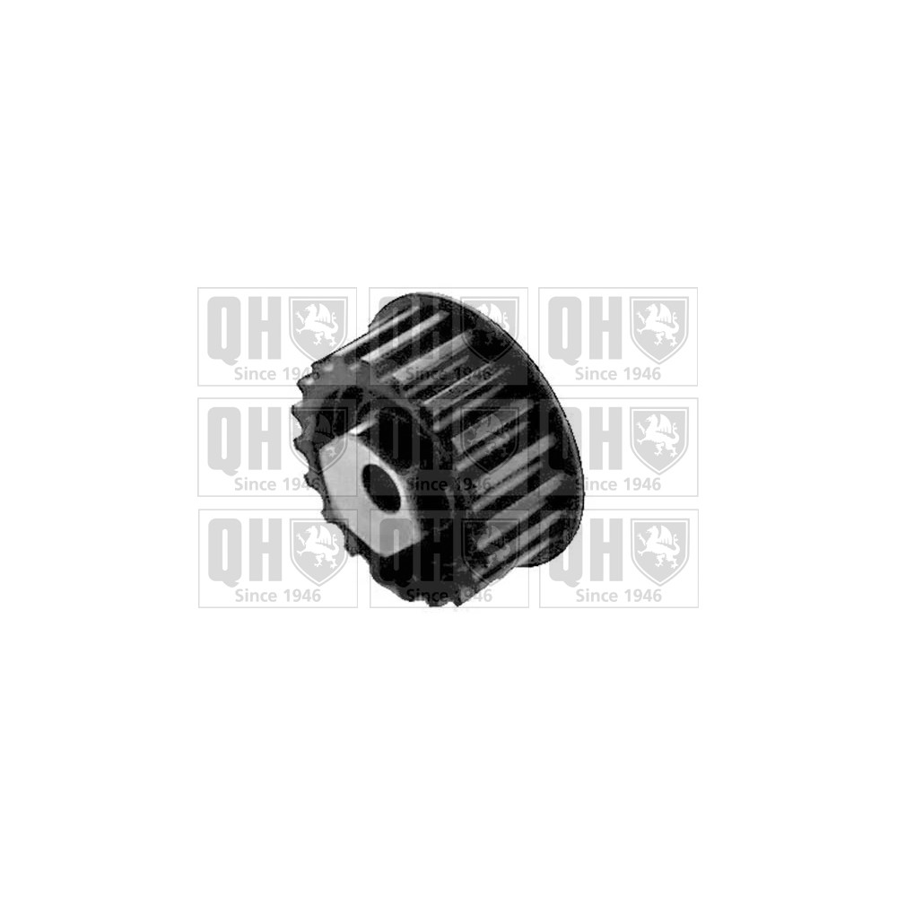 Image for QH QTT169 Timing Belt Tensioner