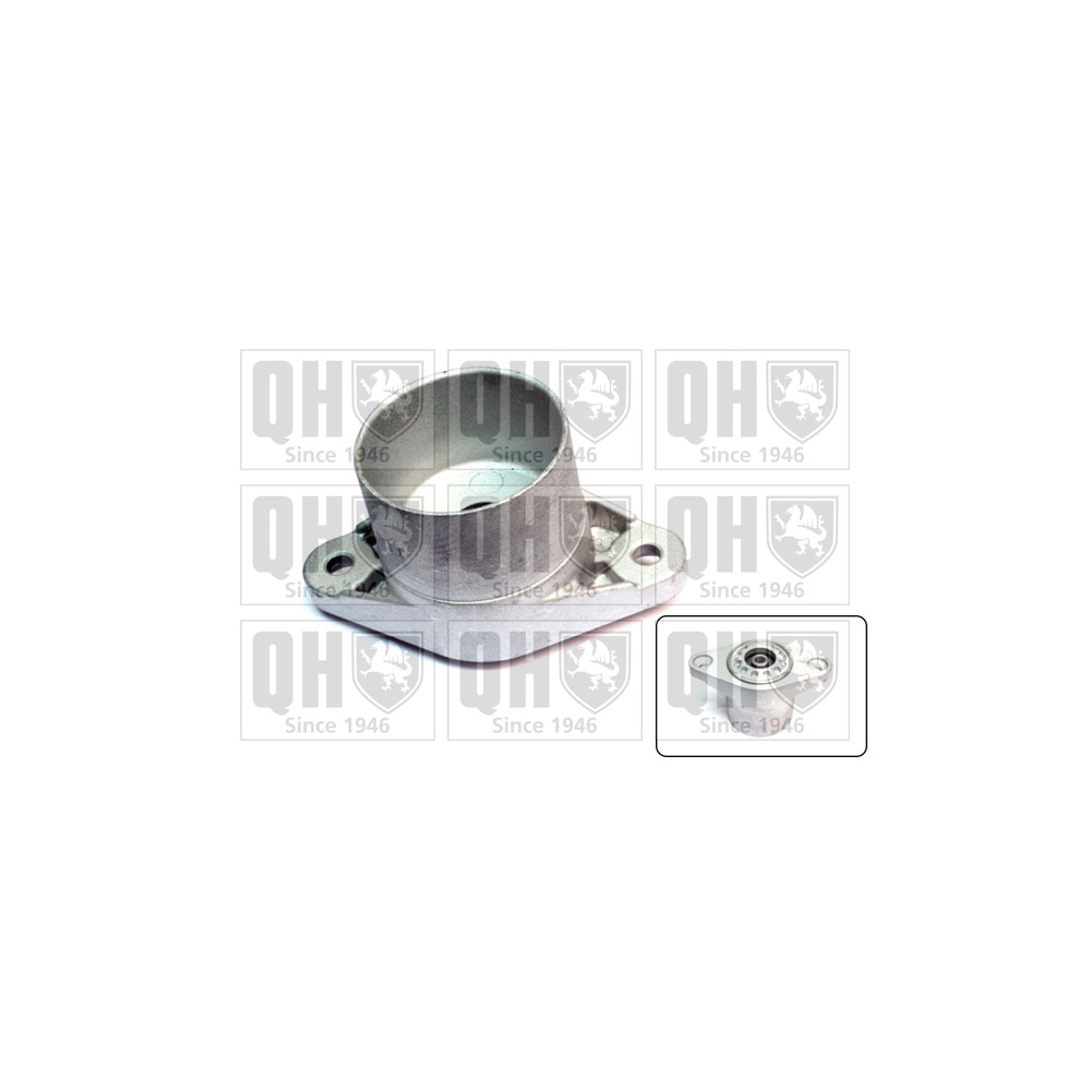 Image for QH EMR6096 Top Strut Mounting - Rear exc.Bearing LH & RH