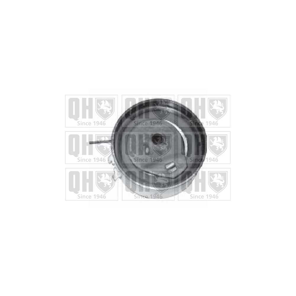 Image for QH QTT1100 Timing Belt Tensioner