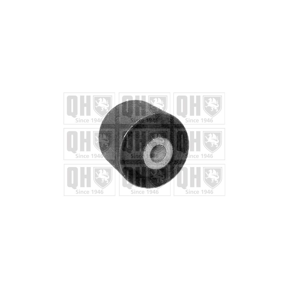 Image for QH EMS3418 Suspension Arm Bush - Rear LH & RH