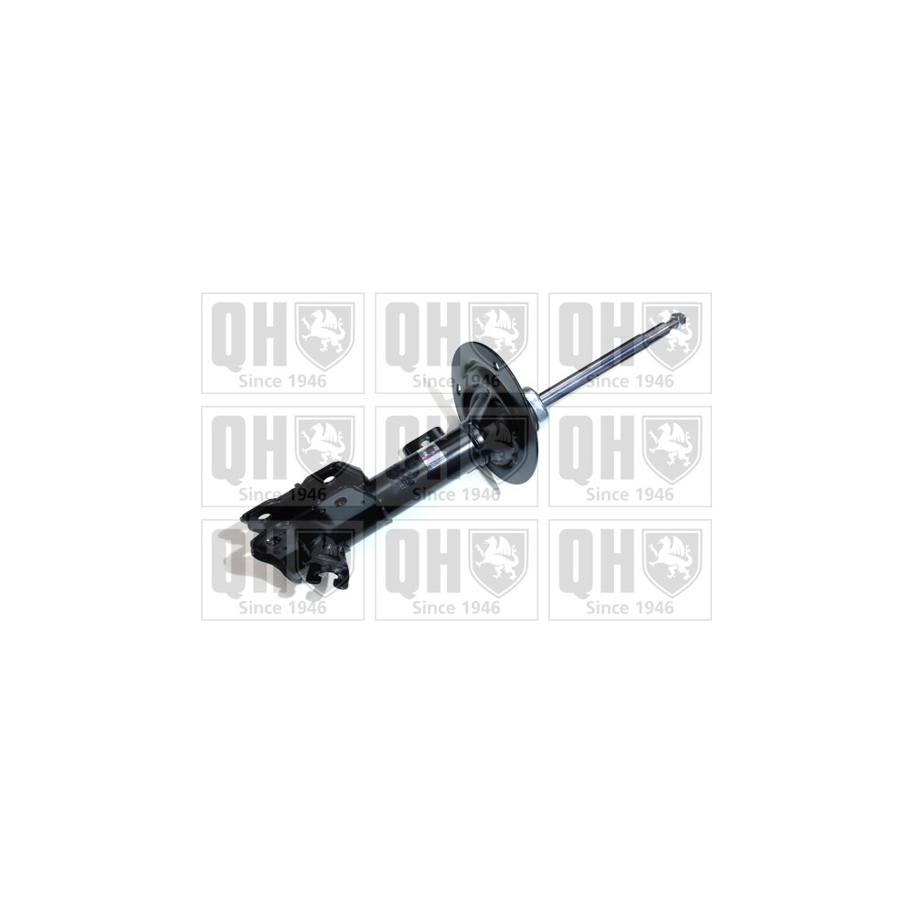 Image for QH QAG181308 Shock Absorber