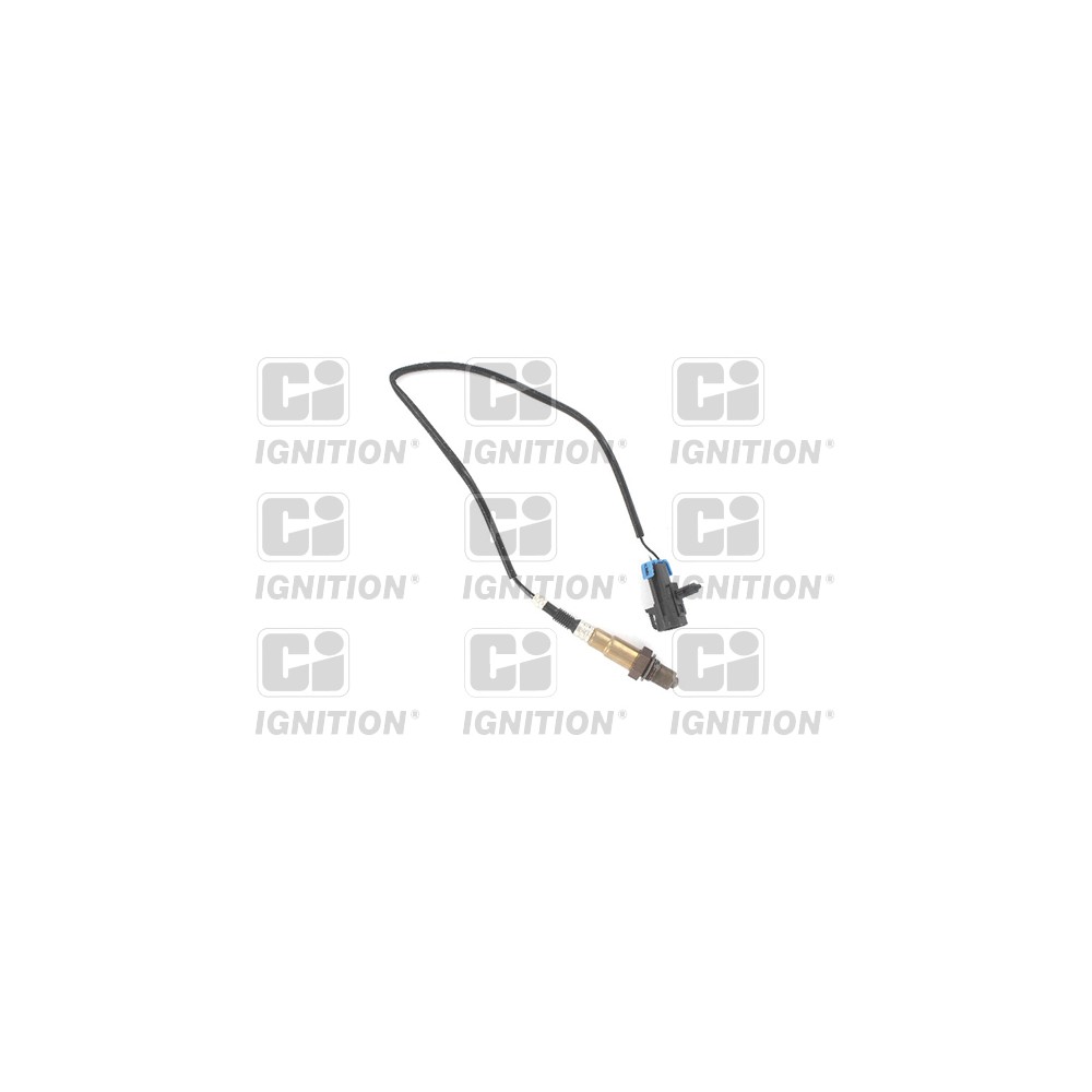 Image for Oxygen Sensor