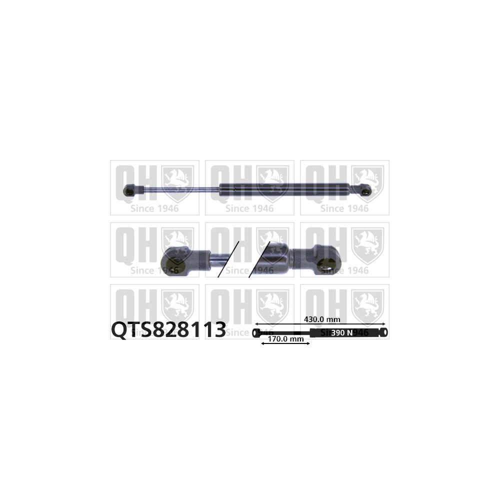 Image for QH QTS828113 Gas Spring