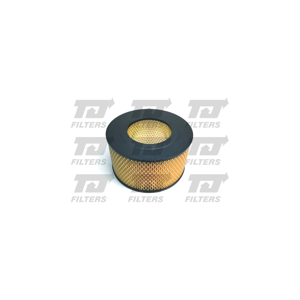 Image for TJ QFA0675 Air Filter